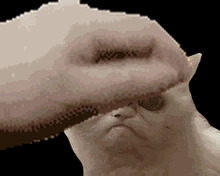 示例GIF