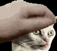 示例GIF