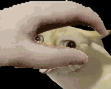 示例GIF